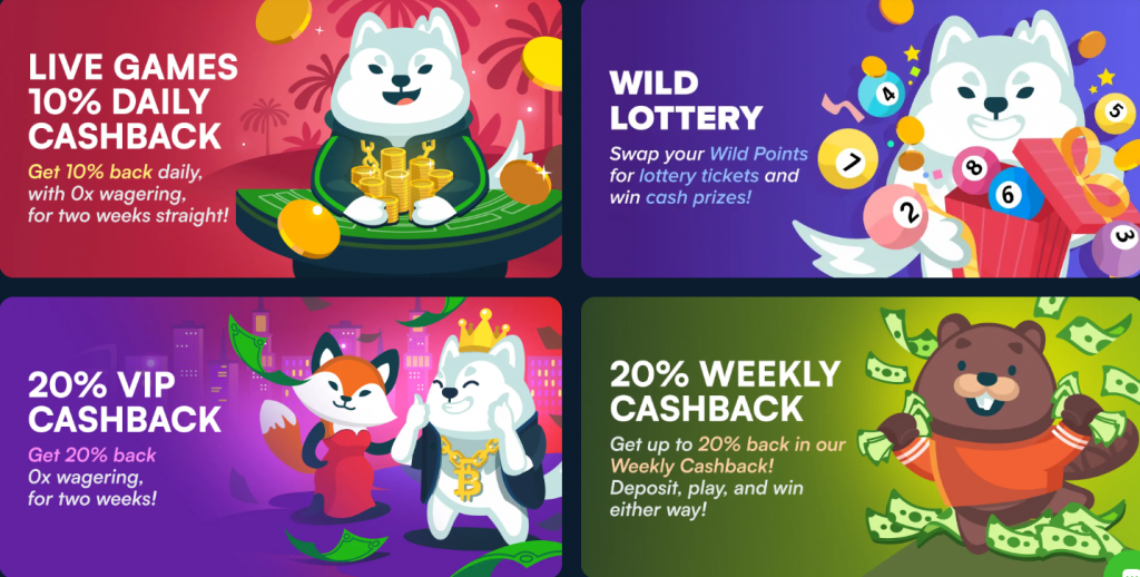 Variety of bonuses on the casino site