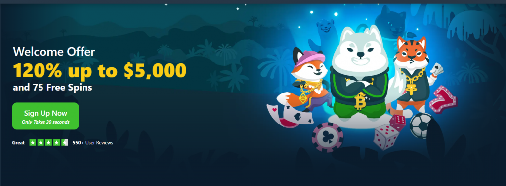 wild io bonus offer