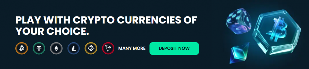 Payment Information and Options at Mega Dice Casino