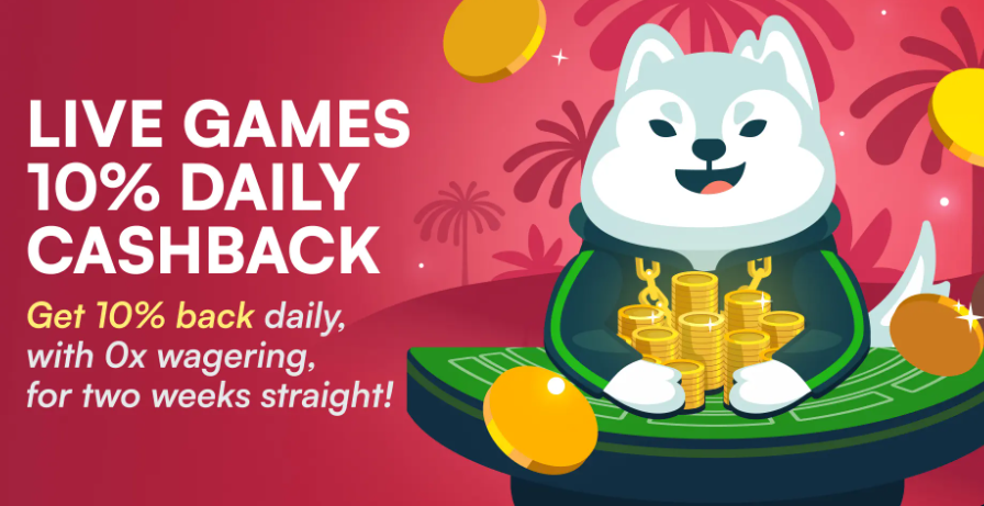 Weekly cashback at one of the casinos